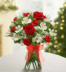 Fields of Europe<br> for Christmas Davis Floral Clayton Indiana from Davis Floral
